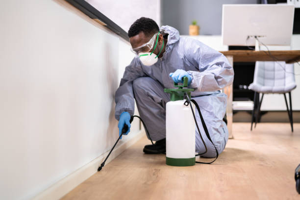 Best Commercial Pest Control  in Heflin, AL